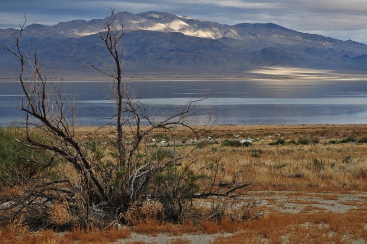 lake scene